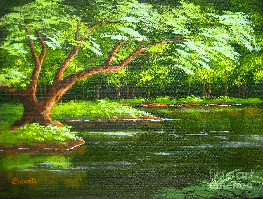 Nature Painting - Fern  Pond by Shasta Eone