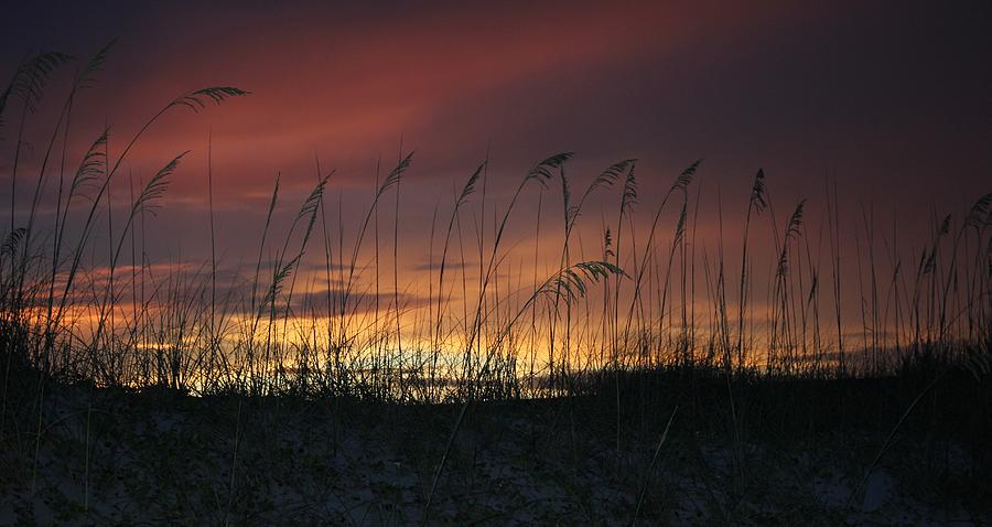 Sunset Photograph - Fernandina Sunset by Valerie Tull