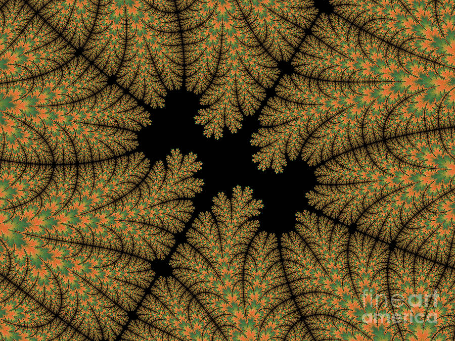 Pattern Photograph - Fernery by Elaine Teague