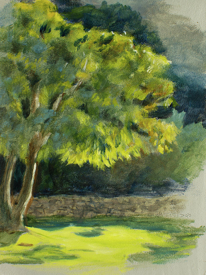 Fernkloof Tree Painting by Christopher Reid