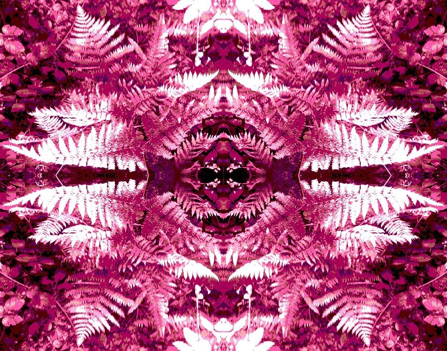 Ferns 2D Fractal Photograph by Julia Woodman