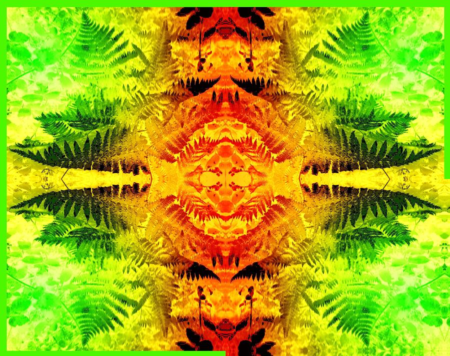 Ferns 2G Fractal Light A partial frame Photograph by Julia Woodman
