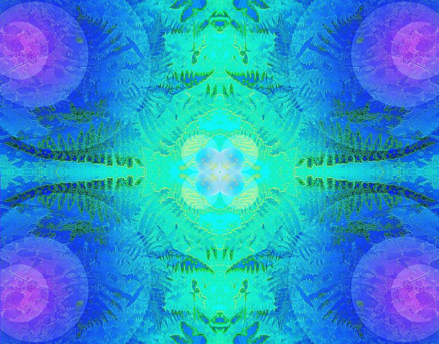 Ferns 2J Hotwax 3 fractal Photograph by Julia Woodman