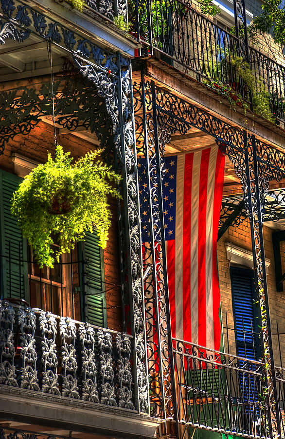 New Orleans Photograph - Ferns And Flag by Greg and Chrystal Mimbs