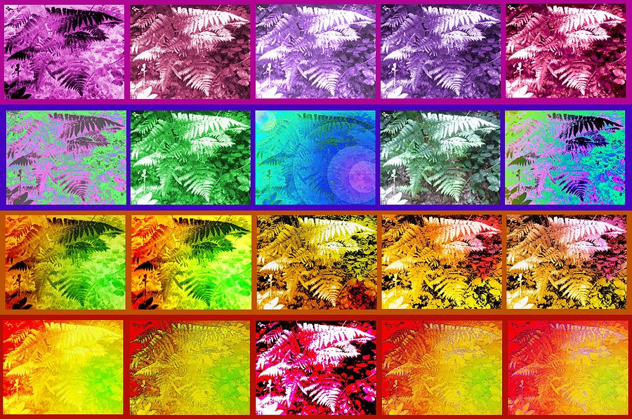 Ferns Art Photo Panel Photograph by Julia Woodman