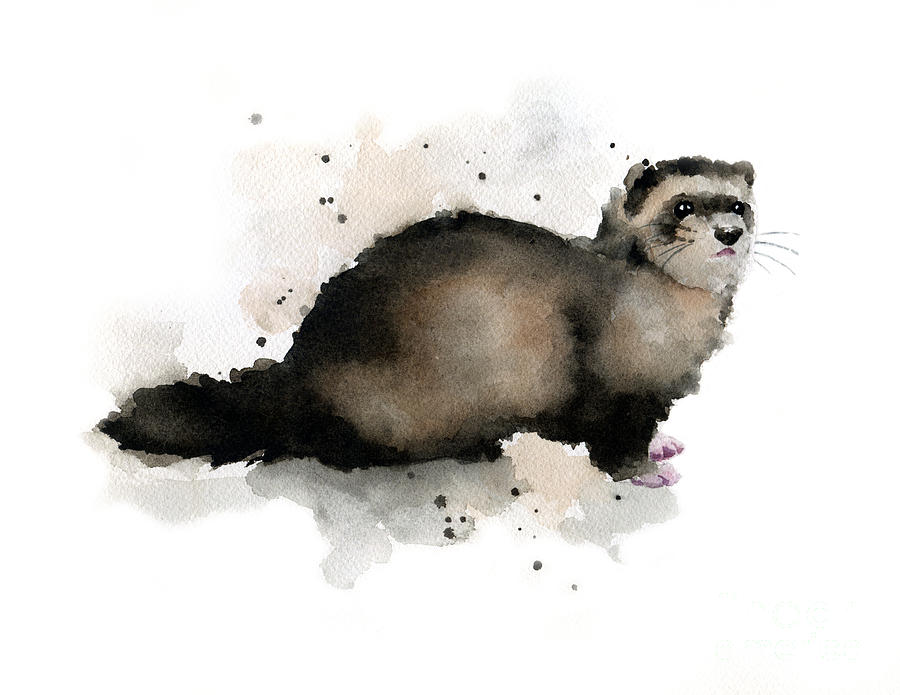 Wildlife Painting - Ferret by David Rogers