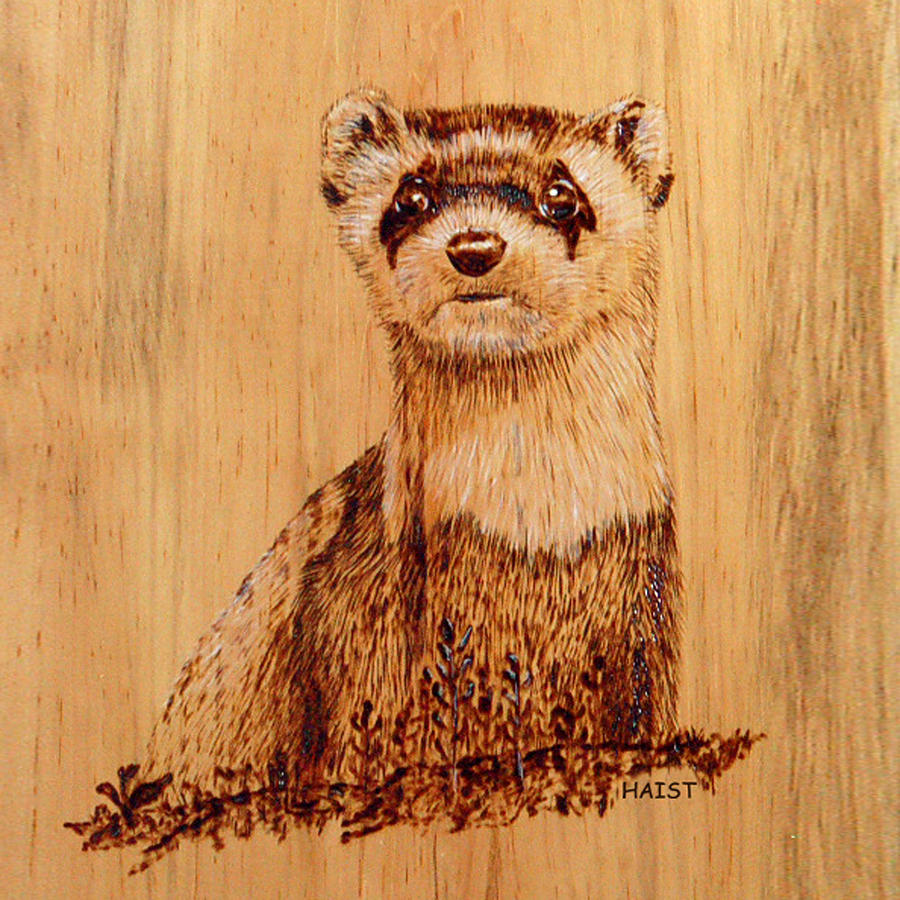 Ferret Pillow/bag Pyrography by Ron Haist