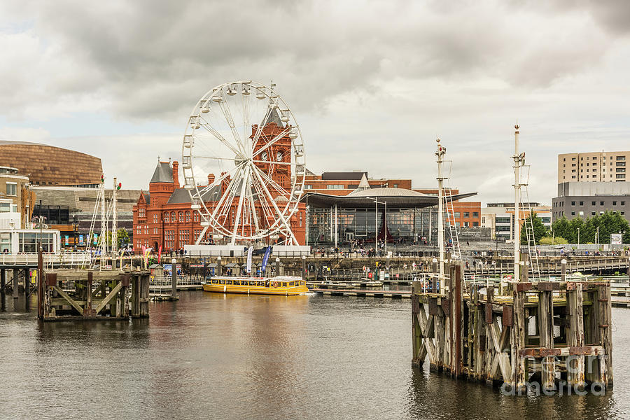Ferris Wheel At The Bay Photograph by Steve Purnell