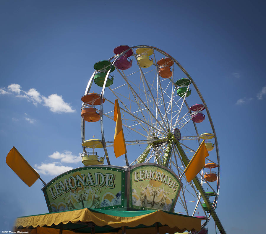 Ferris Wheel  Photograph by Debra Forand