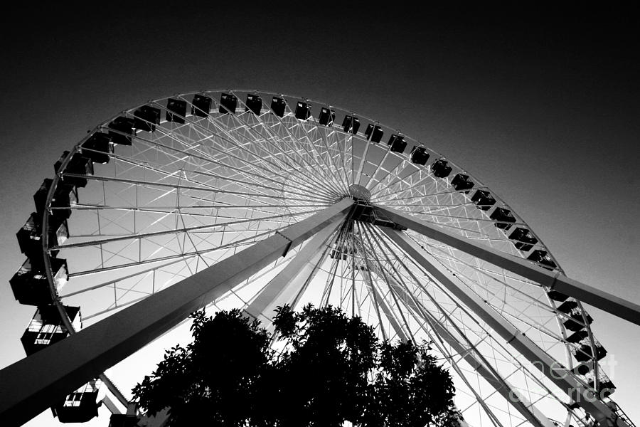 Chicago Photograph - Ferris Wheel by Leslie Leda