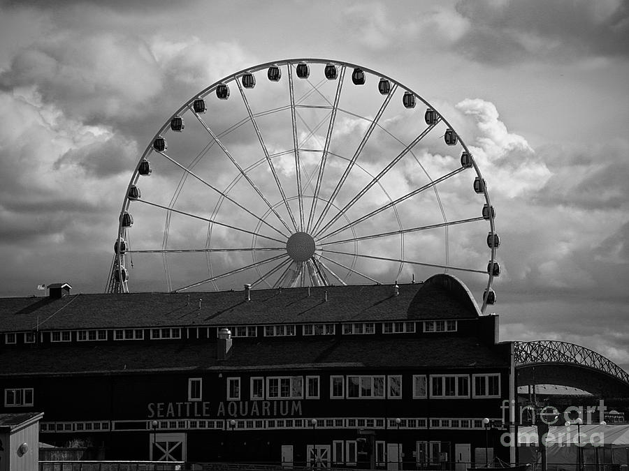 Ferris Wheels Seattle Photograph by Elisabeth Derichs