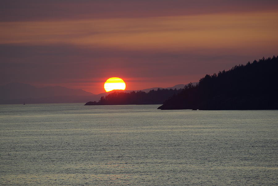 Ferry Sunset Photograph by Cindy Johnston