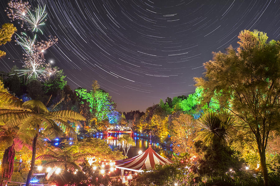 Tree Photograph - Festival Lights Star Trail by Russ Dixon