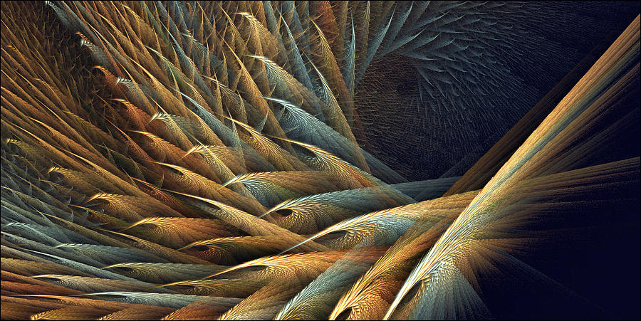 Bird Digital Art - Festival of Fractal Feathers by Doug Morgan