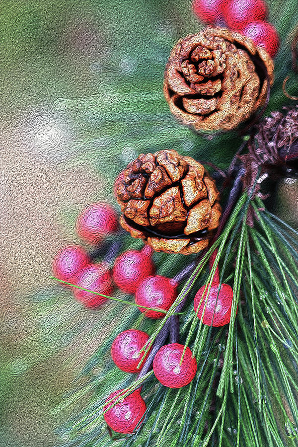 Festive Berries and Cones Photograph by Vanessa Thomas