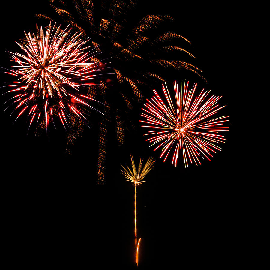Festive Holiday Fireworks Photograph by Debra Martz