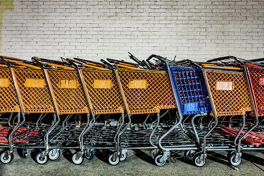 Festive Shopping Carts Photograph by Tommy Hadden | Fine Art America