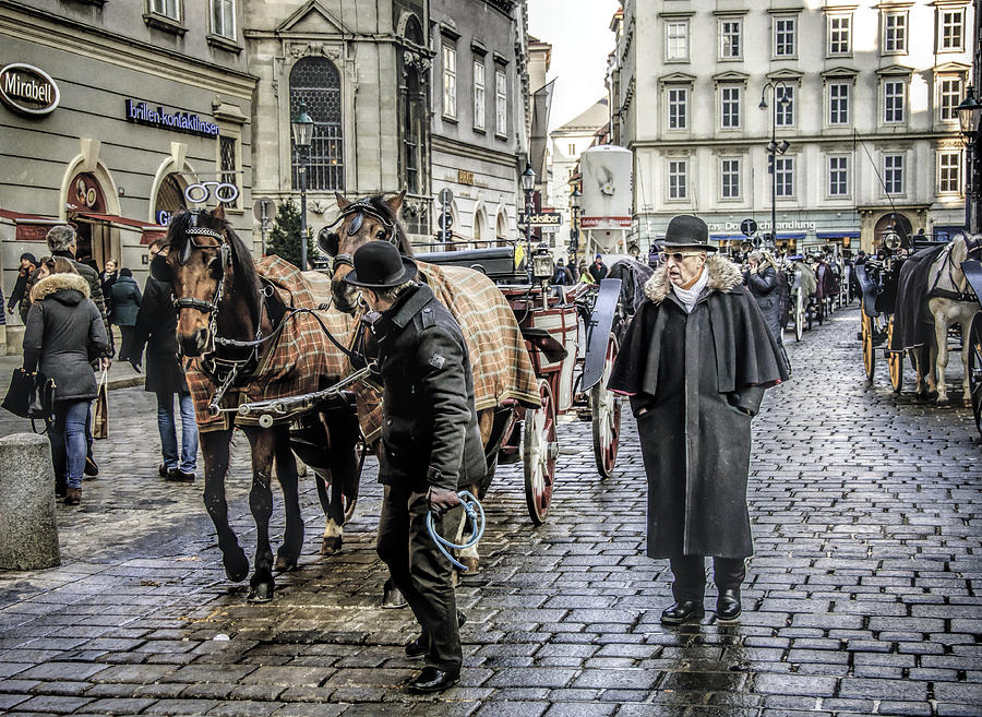 Fiakers at Stephansplatz, Vienna Photograph by Brian Tarr