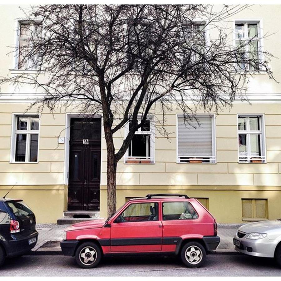 Car Photograph - Fiat Panda

#berlin #kreuzberg by Berlinspotting BrlnSpttng