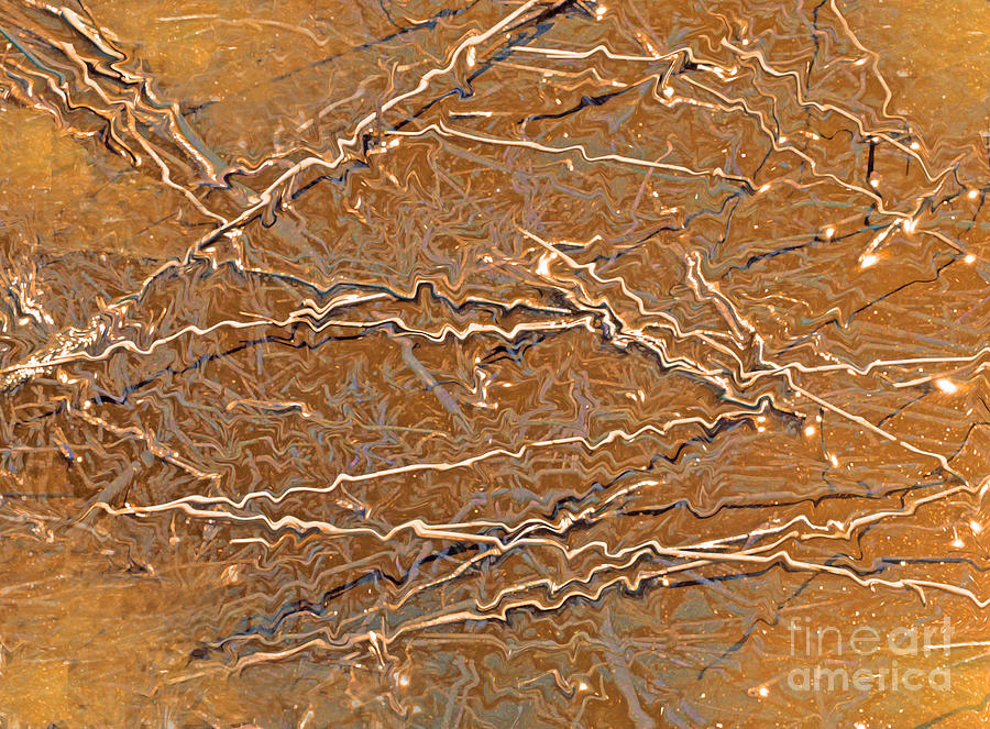 Fiber Abstract by Cindy Lee Longhini Fiber Abstract by Cindy Lee Longhini