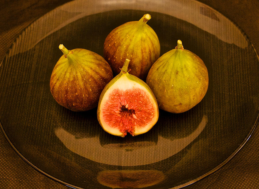 Ficus Carica Common Fig Photograph by Venetia Featherstone-Witty
