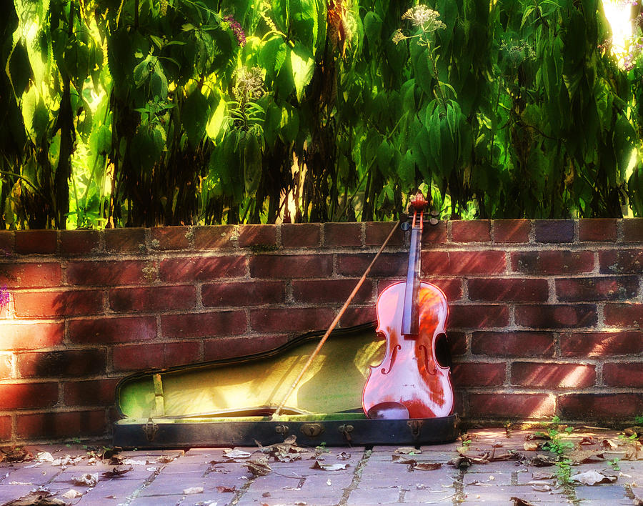 Fiddle on the Garden Wall Photograph by Bill Cannon
