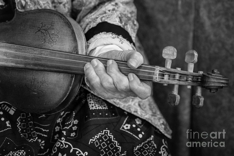 Fiddle Player Photograph by Lynn Sprowl