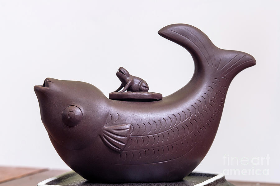 Fishy Tea Pot Photograph by Shawn Jeffries