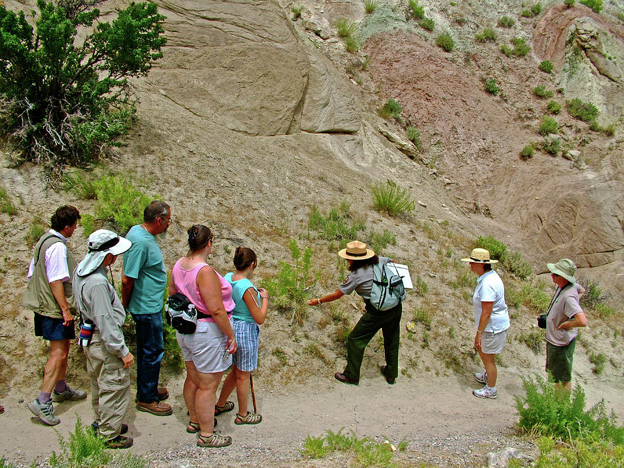 Field Archeologist Points out Indian Grass in Quarry in Dinosaur National Monument, Utah Photograph by Ruth Hager