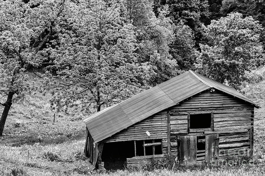 Field Barn and Forest Photograph by Thomas R Fletcher