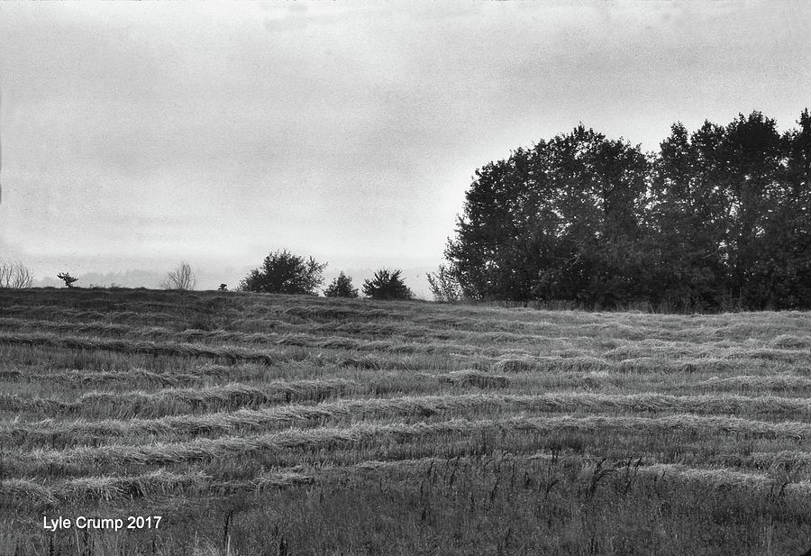Field By The Trees BW Photograph by Lyle Crump