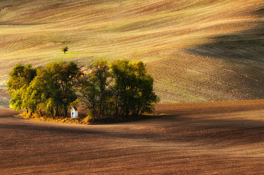 Landscape Photograph - Field Chapel by Piotr Krol (bax)