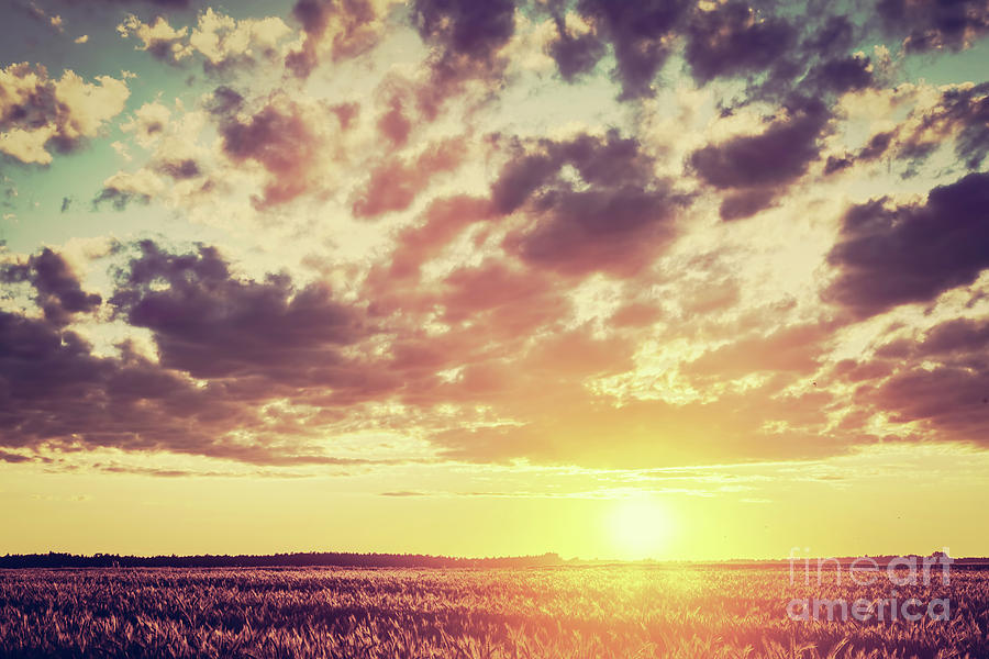 Field, countryside at sunset. Harvest time. Vintage Photograph by Michal Bednarek