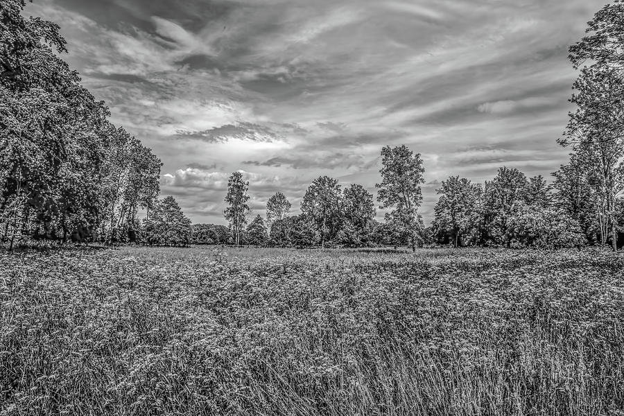 Field Gaeddeholm  BW Photograph by Leif Sohlman