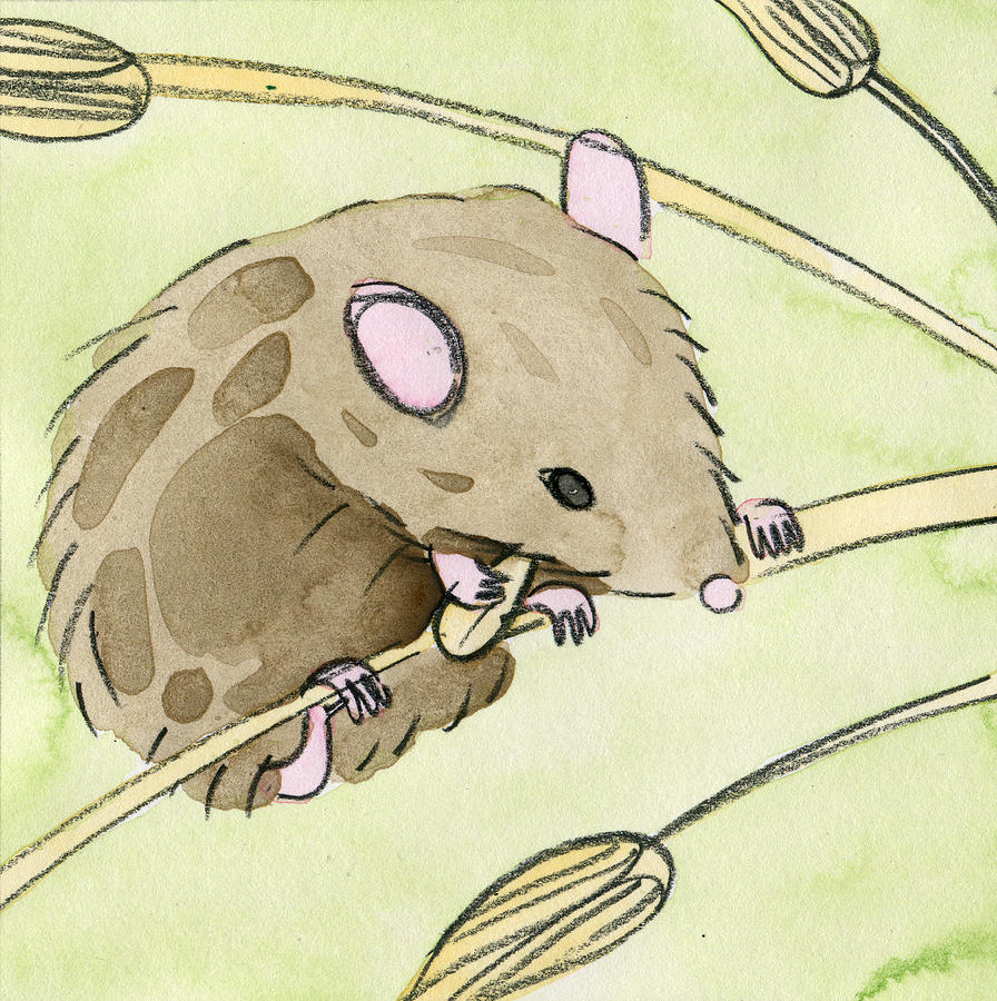 Nature Painting - Field Mouse by Ruth Ferrier