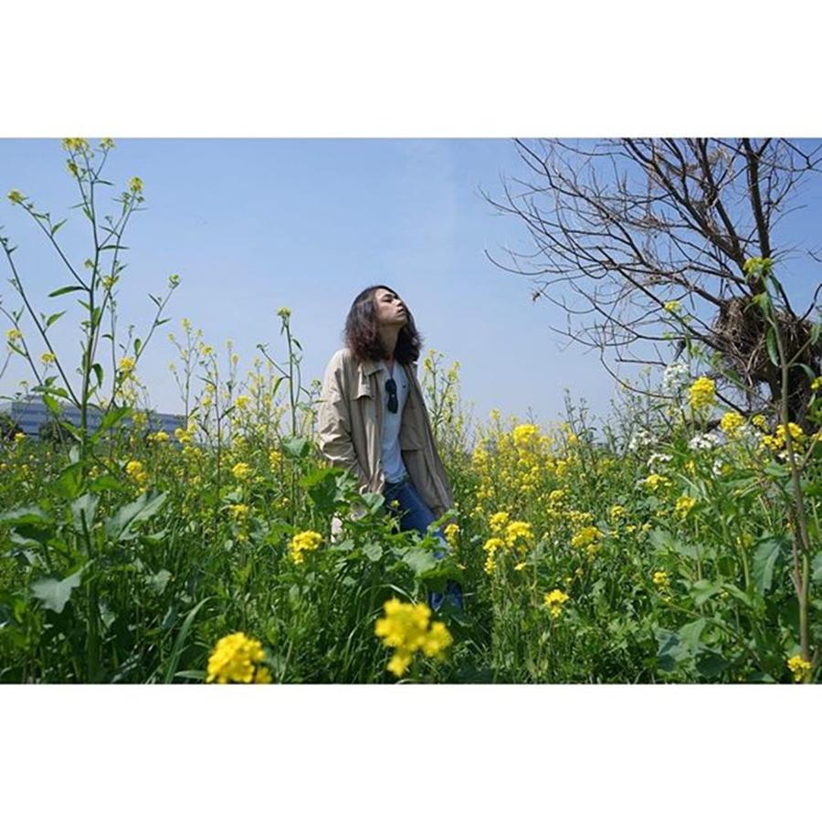 Spring Photograph - Field Mustard
#spring 
#humanedge by Yuka Uemura