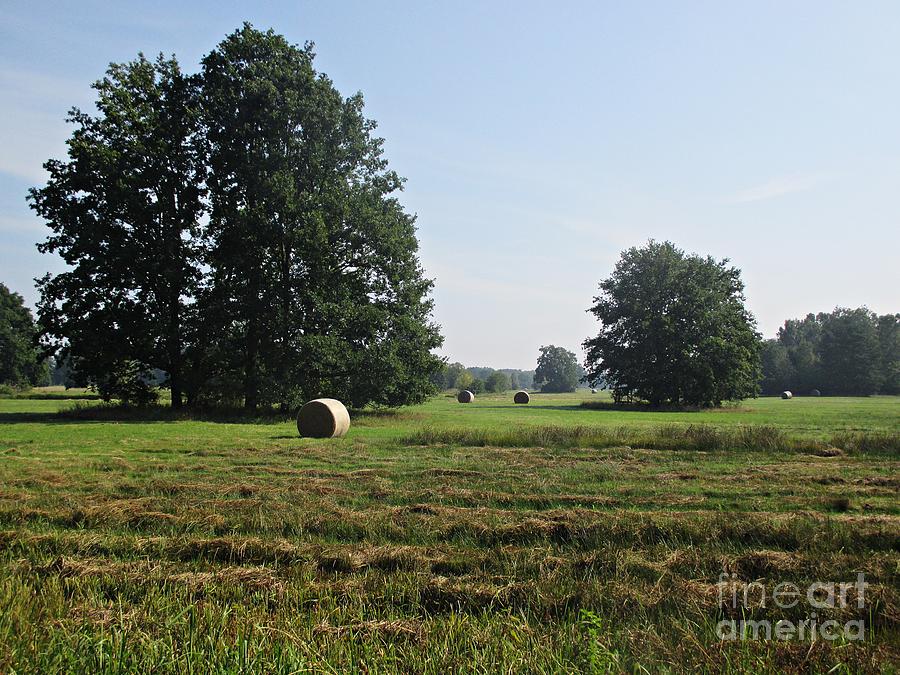 Field near Oranienbaum Photograph by Chani Demuijlder