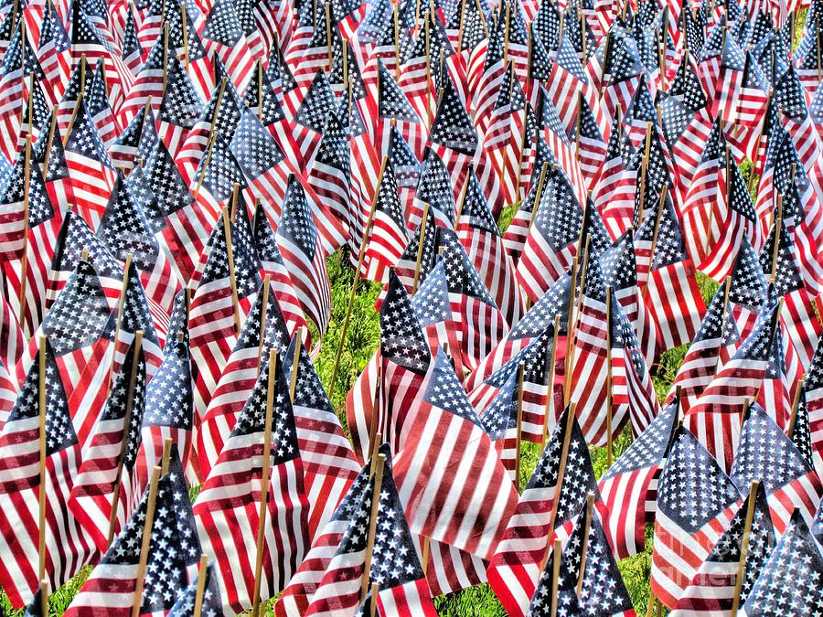 Field of American Flags Photograph by Elizabeth Dow - Fine Art America