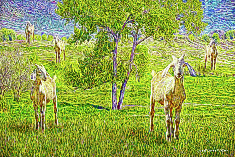 Field Of Baby Goat Dreams Digital Art by Joel Bruce Wallach
