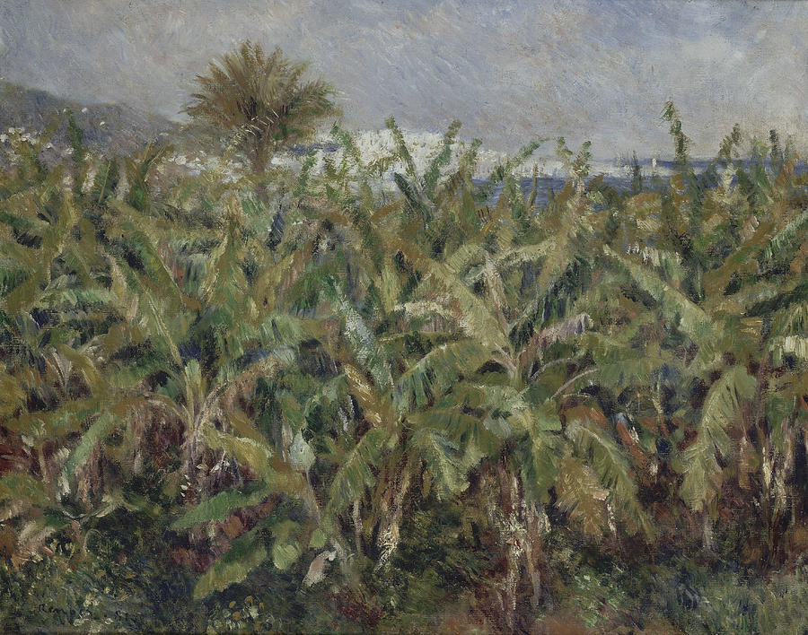 Field of Banana Trees  Painting by Auguste Renoir