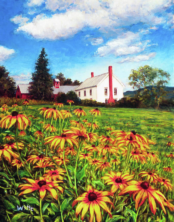 Field of Black Eyed Susans Painting by Marie Witte