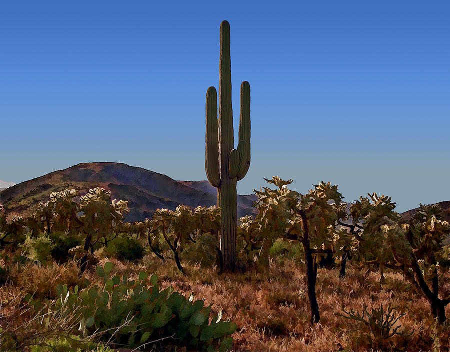 Field of Cactus Painting by Elaine Plesser - Fine Art America