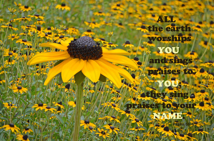 Field of Coneflowers And Scripture Photograph by Sandi OReilly