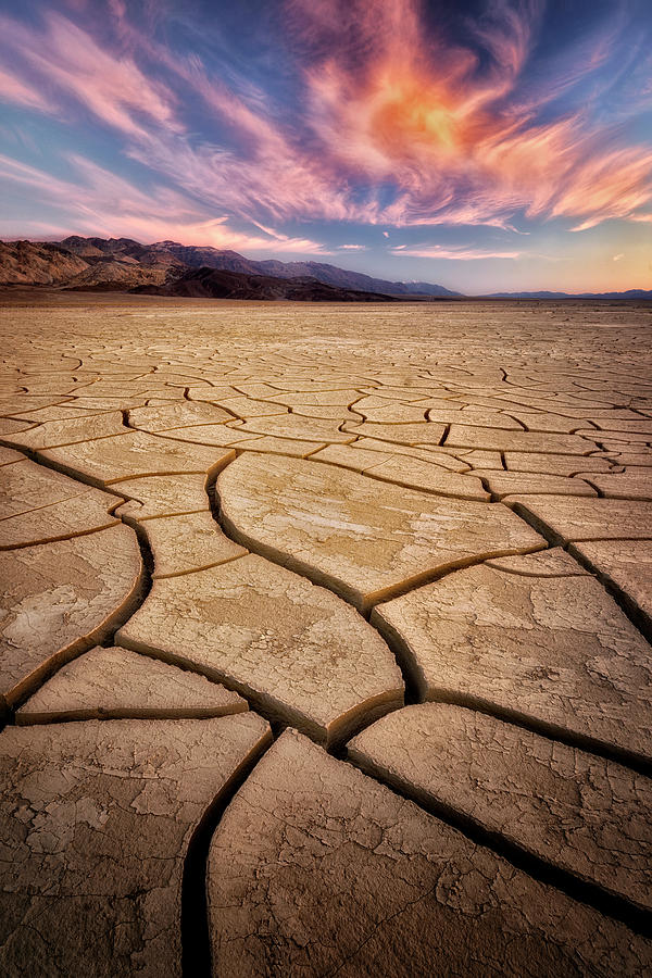 Field of Cracks Photograph by Nicki Frates