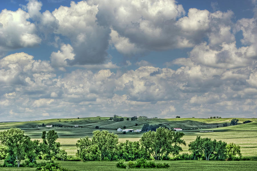Field of Dreams - Iowa - Farm Country Photograph by Nikolyn McDonald