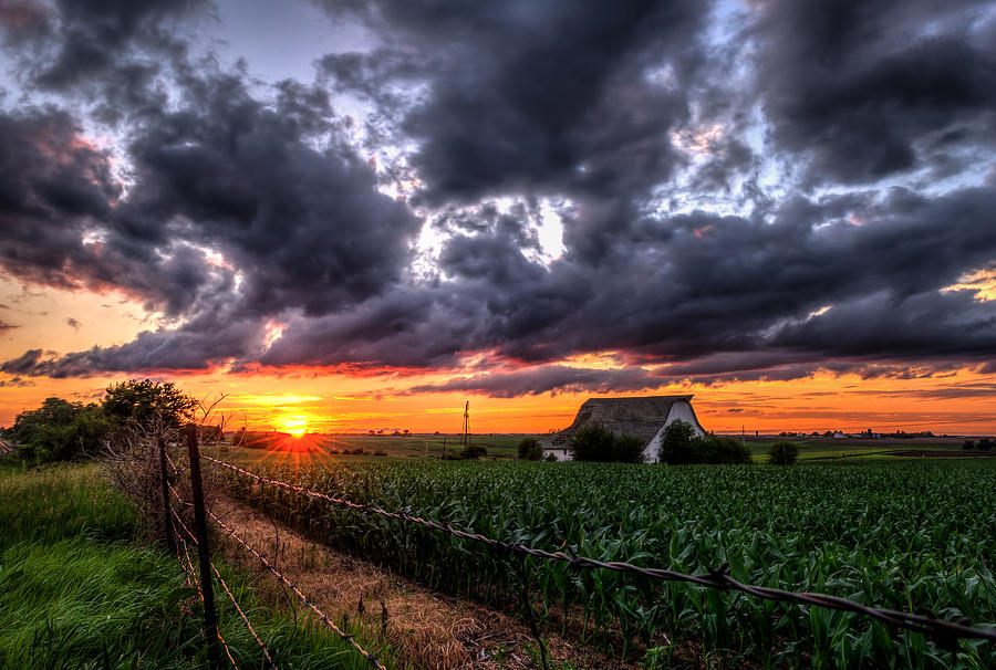 Sunset Photograph - Field of Dreams by Mark McDaniel