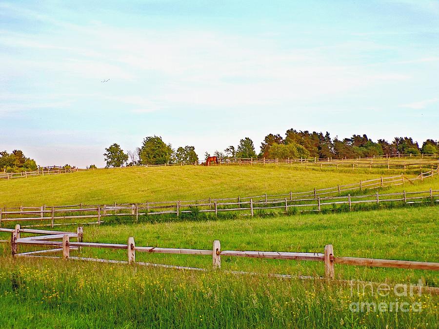 Field Of Fences Photograph