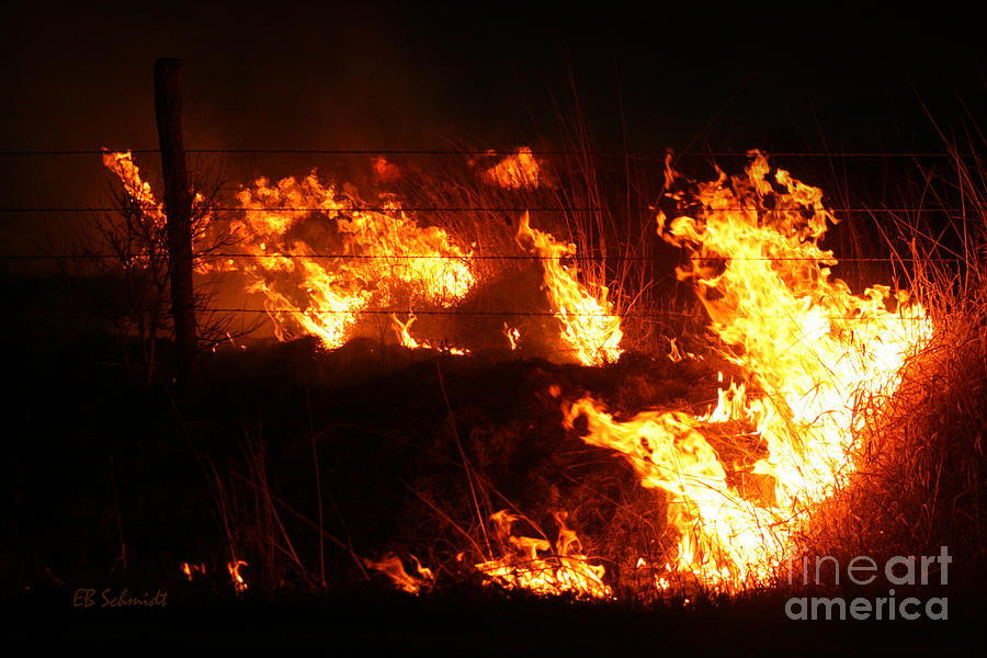 Field of Fire Photograph by E B Schmidt