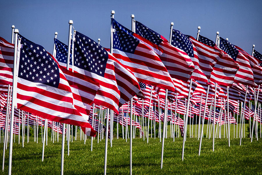 Field Of Flags For Heroes Photograph