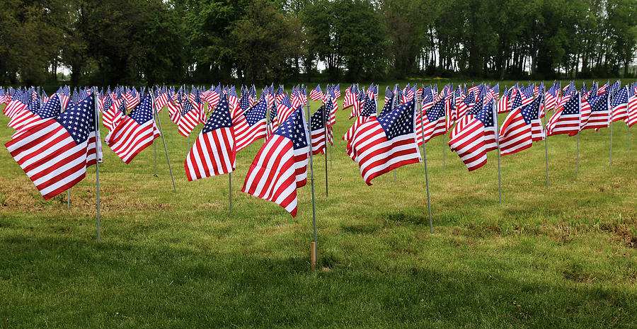 Field of Flags River Raisin Battlefield Photograph by Mary Bedy